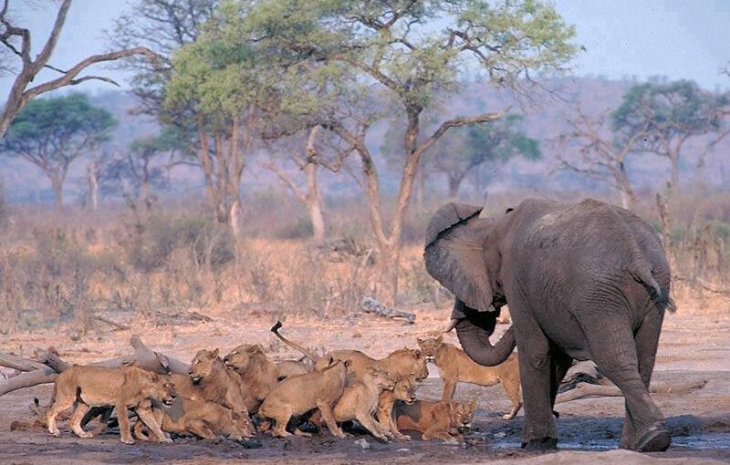 Things to do in Tanzania