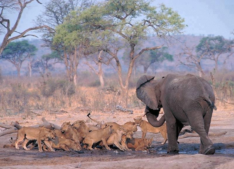 Things to in Tanzania