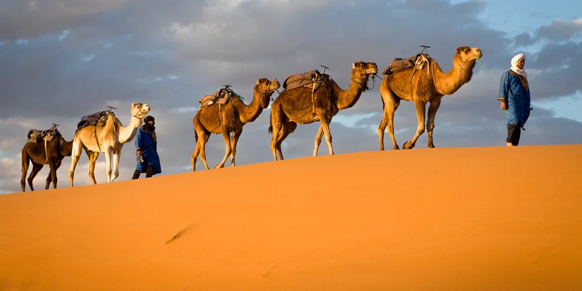 Exploring Untravelled Destinations