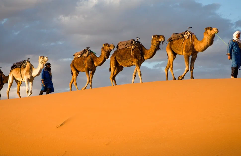 Exploring Untravelled Destinations