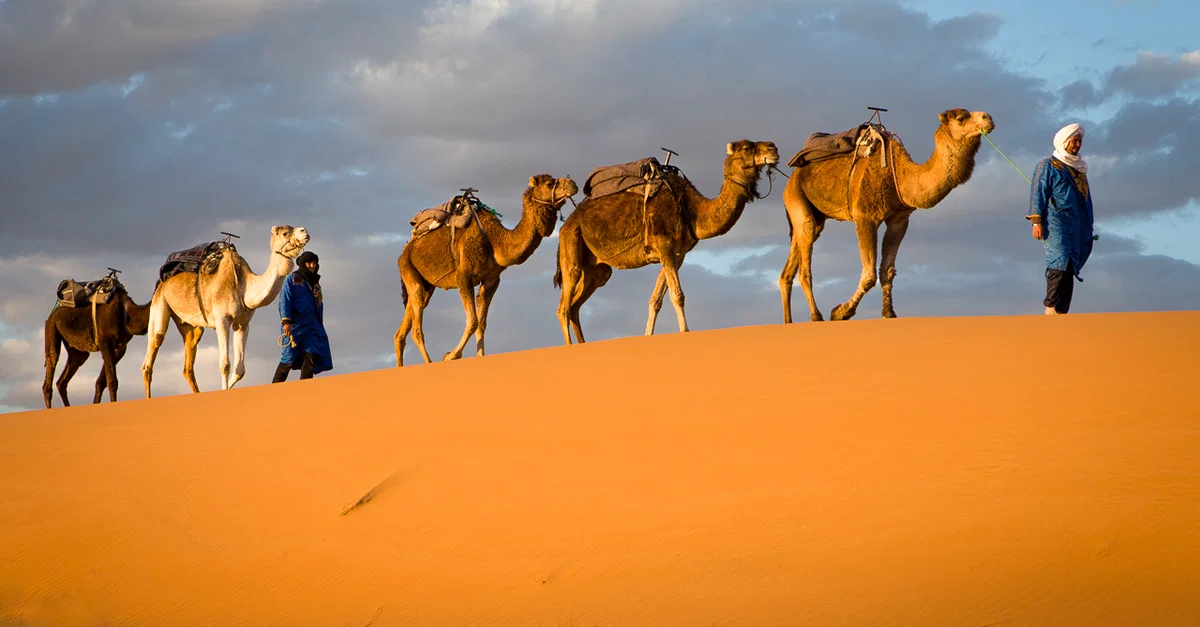 Exploring Untravelled Destinations