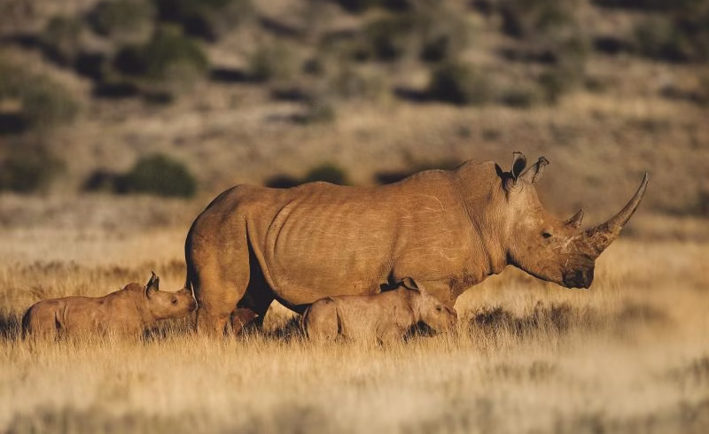 A Guide to Tanzania and Zanzibar Holiday