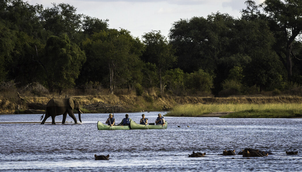 10 Essential Clothing Tips for an African Safari