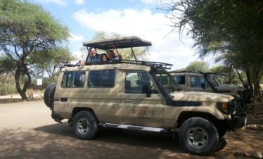 Bush to beach safari adventure