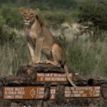 Majestic Kenya Luxury Safari