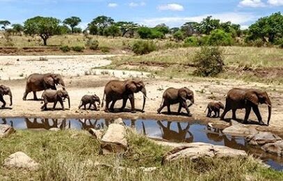 Things to do in Tanzania