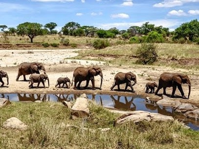 Safari in Kenya Tanzania Uganda