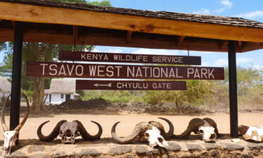 Rustic Safari Experience