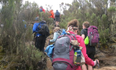 Mount Kenya Climbing Safari