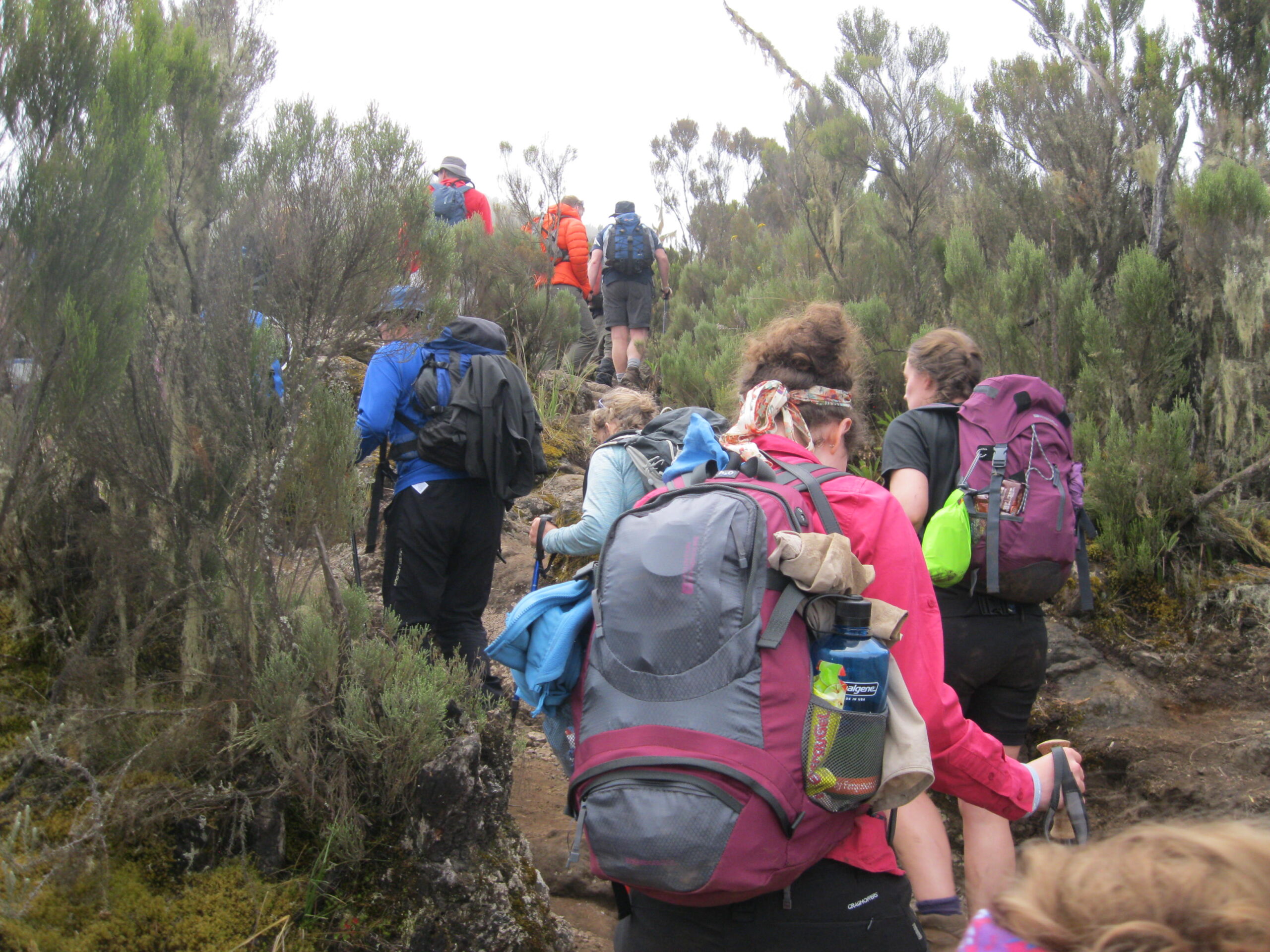 Mount Kenya Climbing Safari