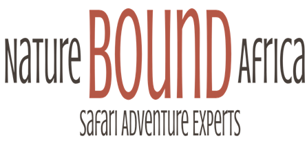 luxury african safaris