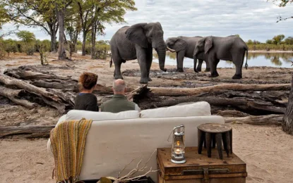 Explore Tanzania: A Guide to Africa’s Untamed Beauty