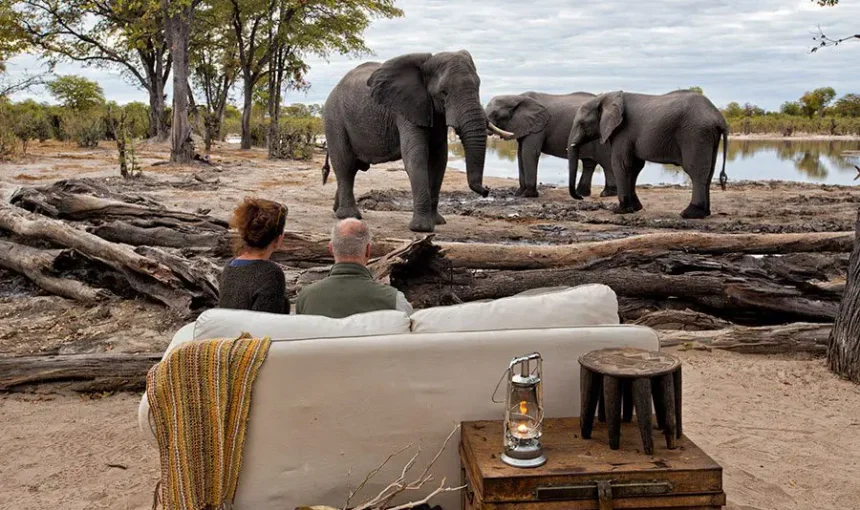 Explore Tanzania: A Guide to Africa’s Untamed Beauty