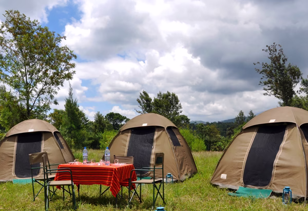 Budget Camping safari