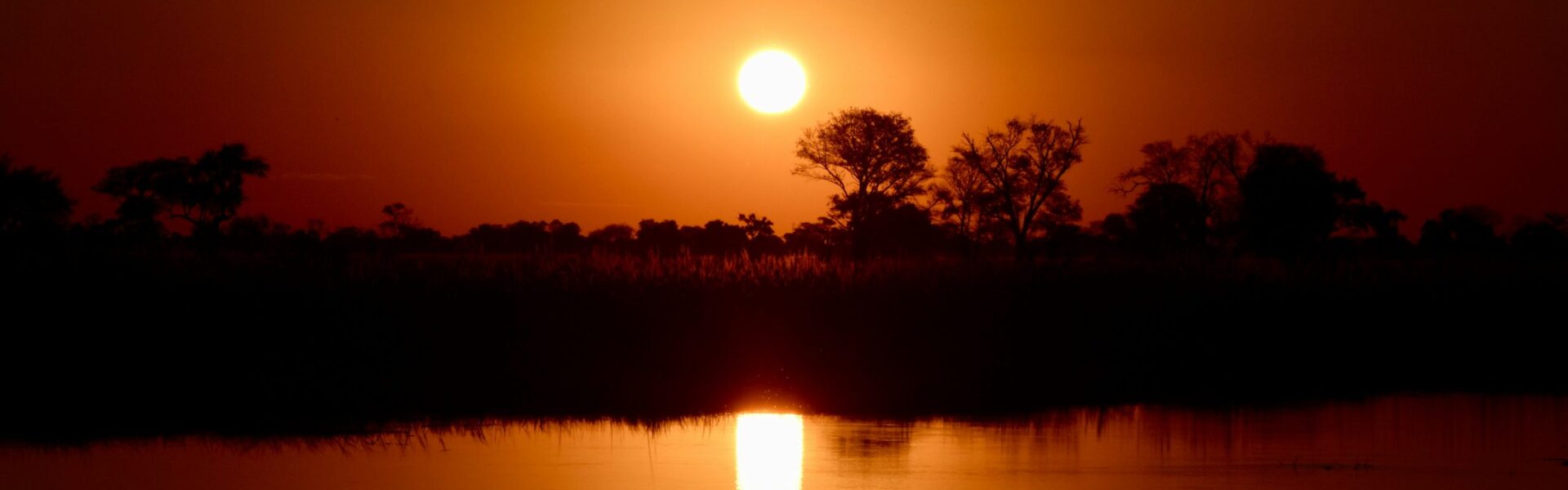 Botswana safari tour