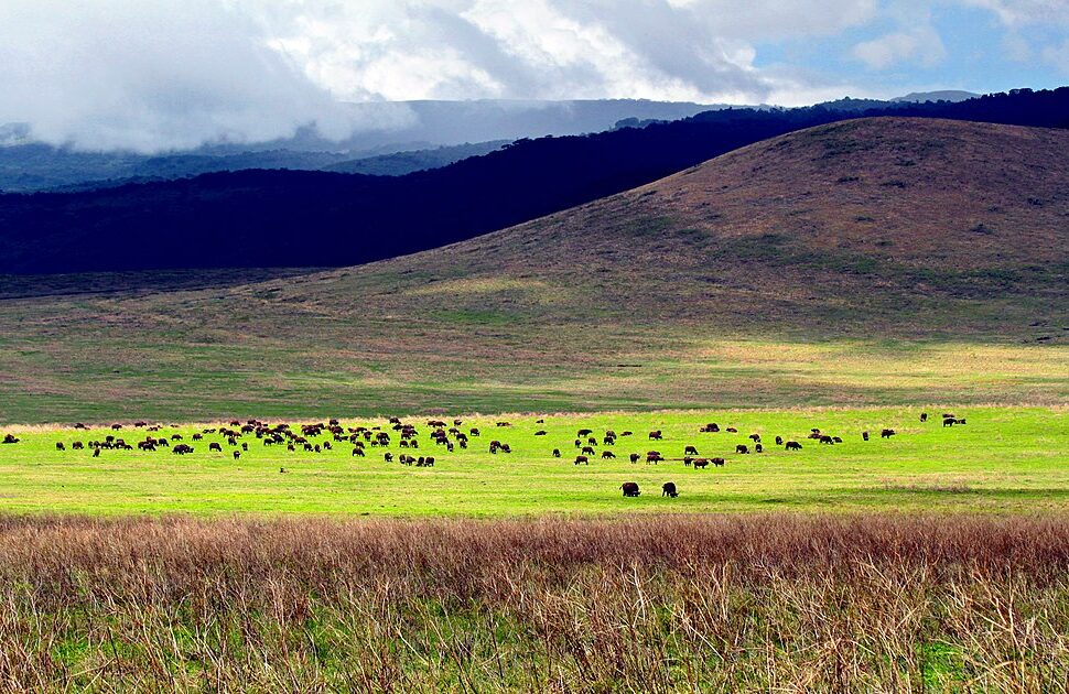 ngorongoro trek