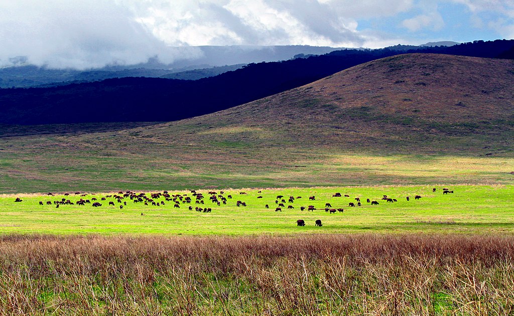ngorongoro trek