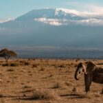 Nature Bound Africa's Aberdares to Samburu Safari 