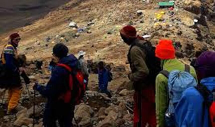 Kilimanjaro Machame Route Highlights