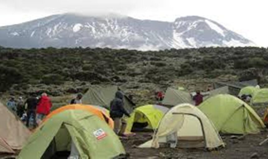 Kilimanjaro Londorossi Route Highlights