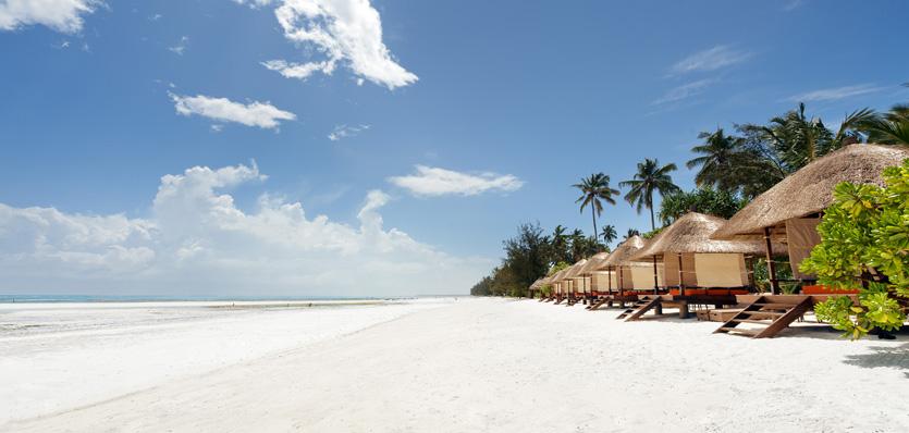 Must-try activities and experiences on a Safari and in Zanzibar