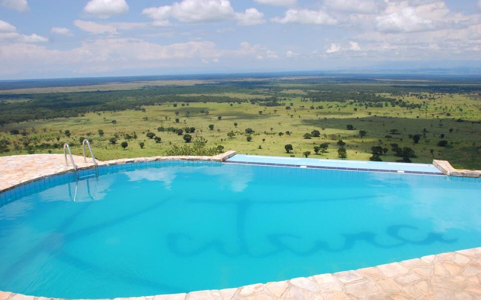 Contact a Safari Company