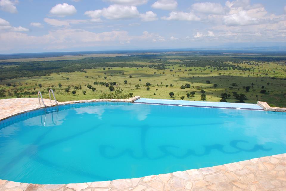 Contact a Safari Company