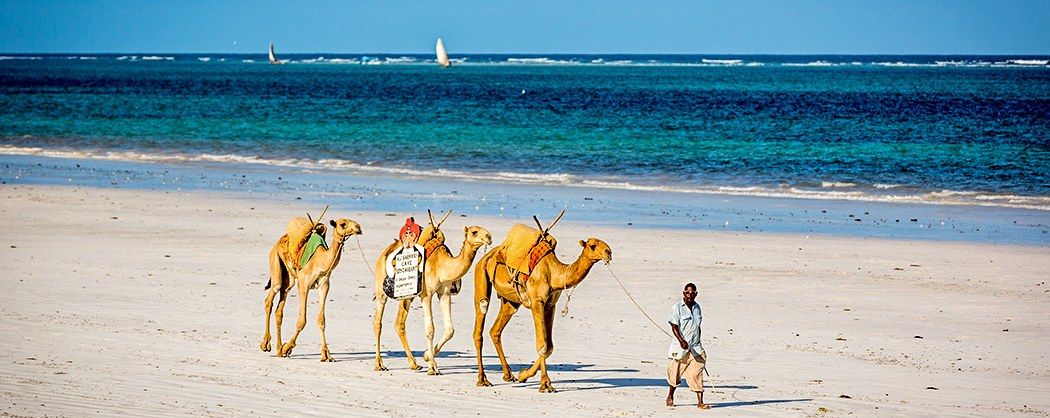 What is the best time to go on a Kenya safari?