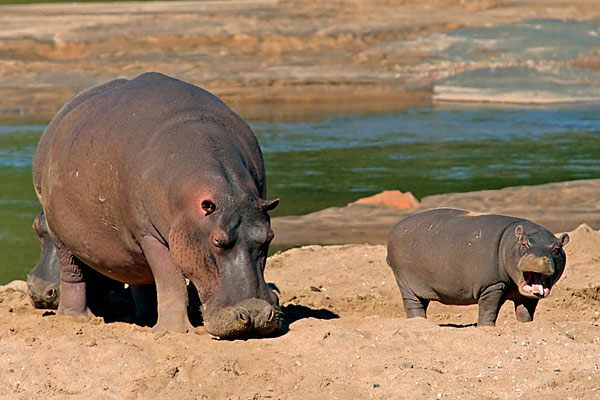 Central Island National Park