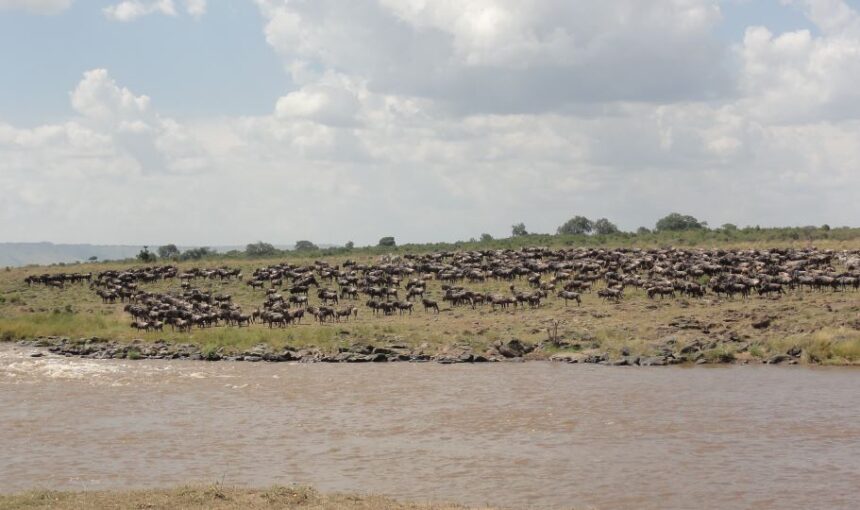 Hidden Paradise on Wasini Island in Kenya