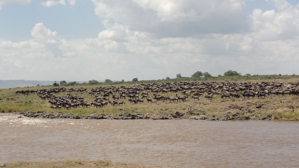Hidden Paradise on Wasini Island in Kenya