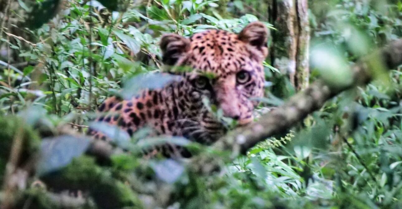 Lake Nakuru National Park