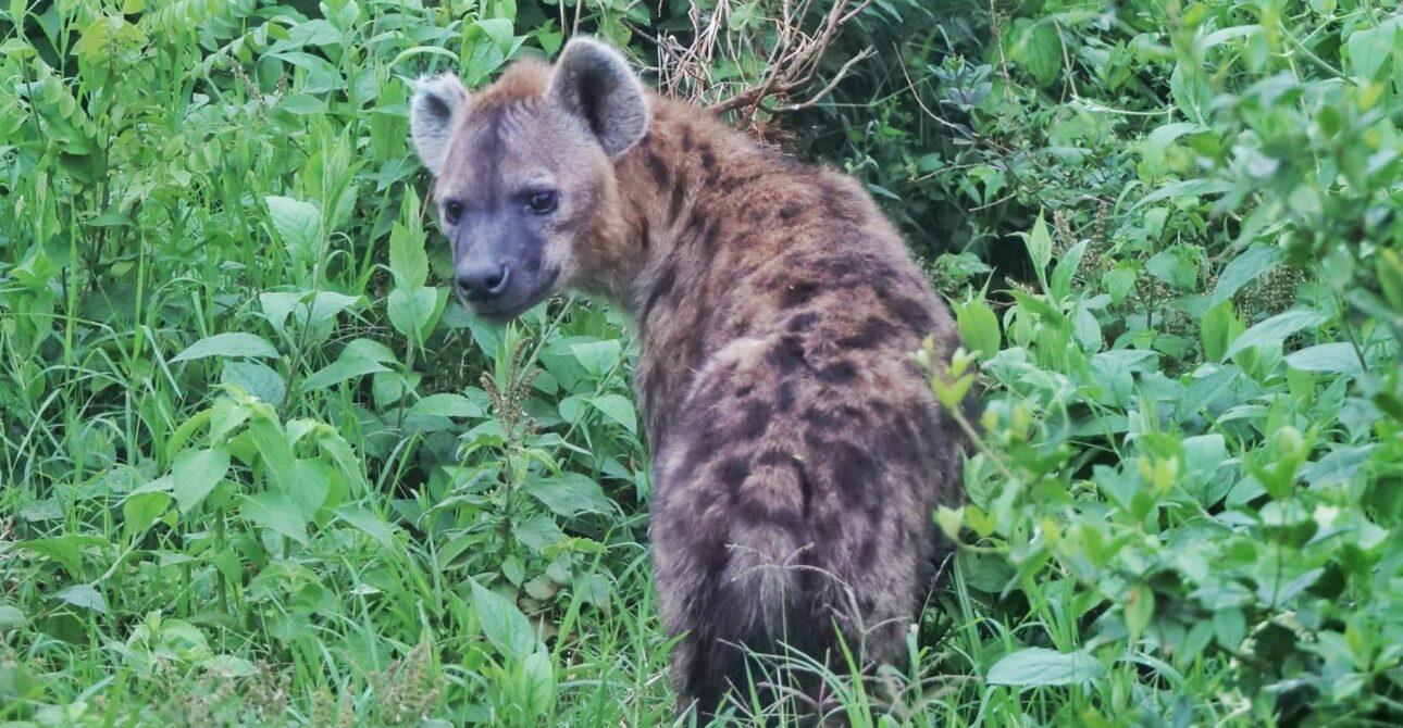 LAKE SIMBI NATIONAL SANCTUARY