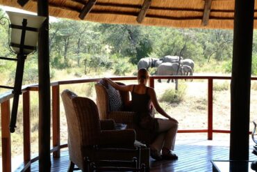 Solo Safari Experience