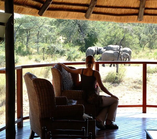Solo Safari Experience