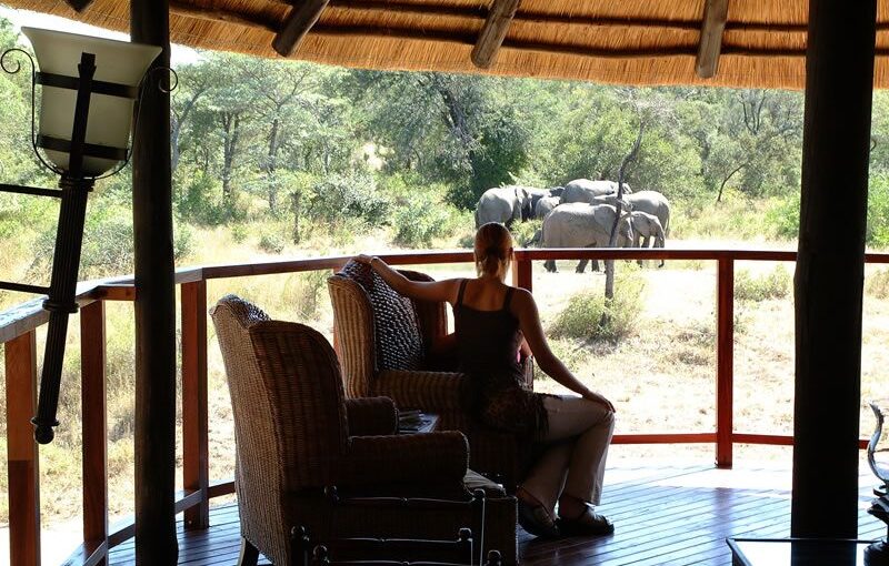 Discover the Ultimate Solo Safari Experience 1 Discover the Ultimate Solo Safari Experience