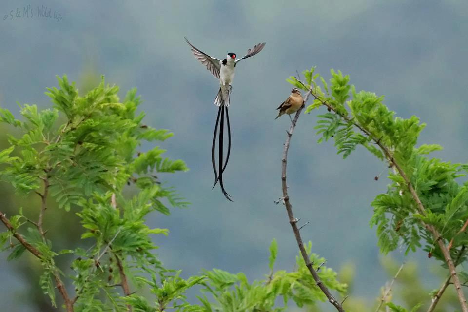 NASOLOT NATIONAL RESERVE