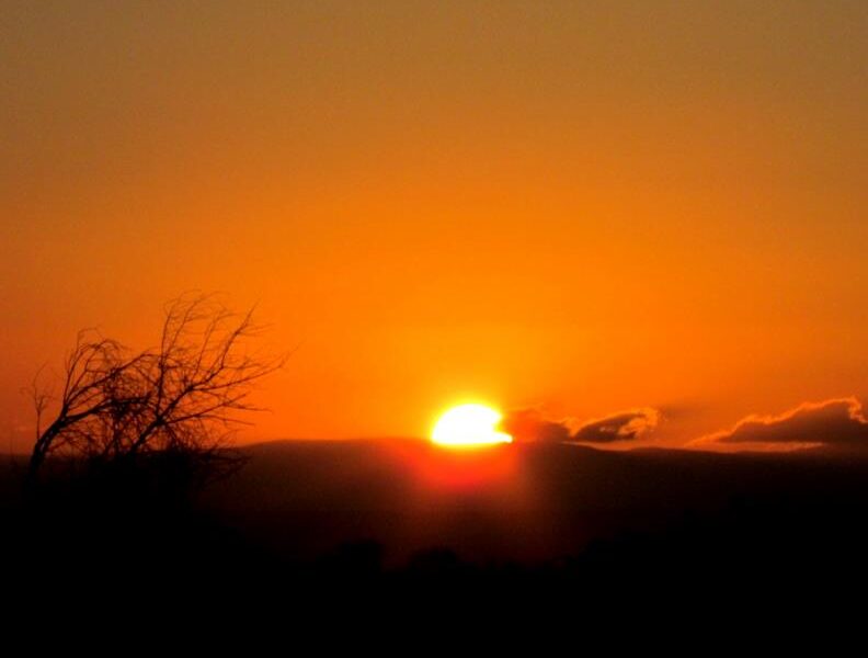 Nairobi National Park – Wildlife Safari Next to Kenya’s Capital City