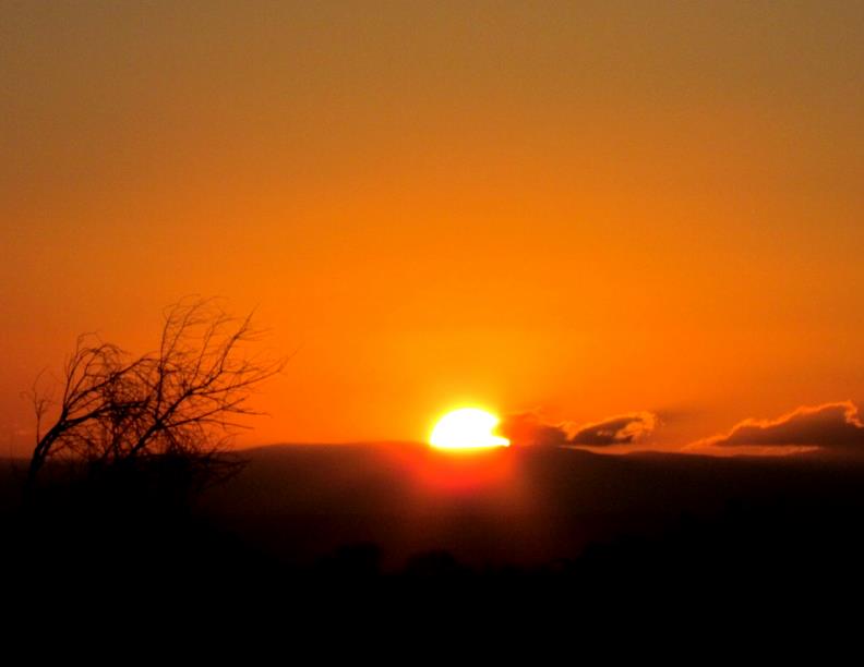 Nairobi National Park – Wildlife Safari Next to Kenya’s Capital City