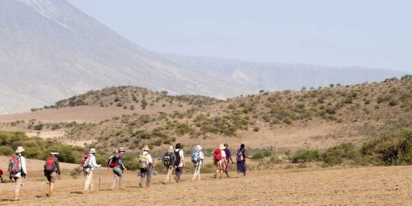 Walking safaris