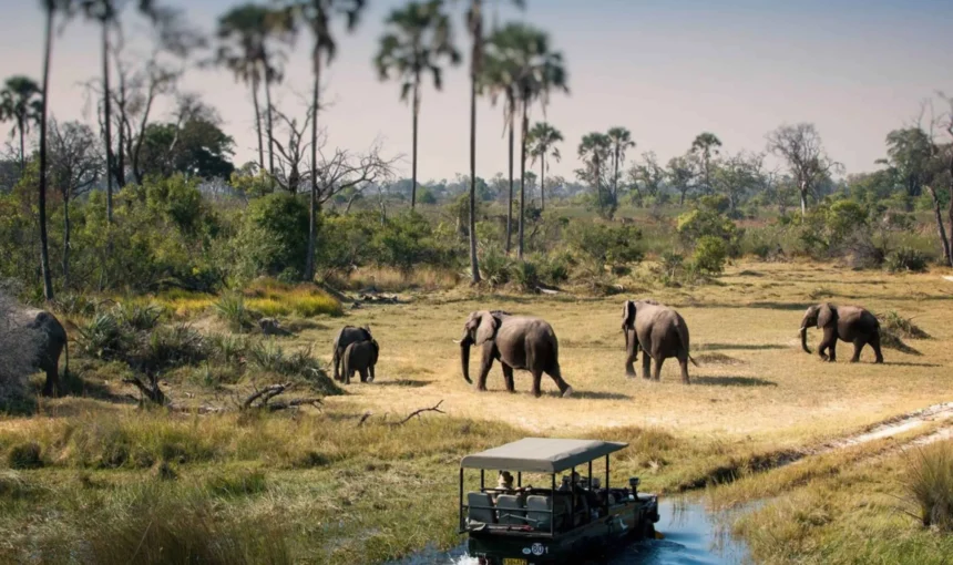 Serengeti National Park Safari Guide 2 Serengeti National Park Safari Guide