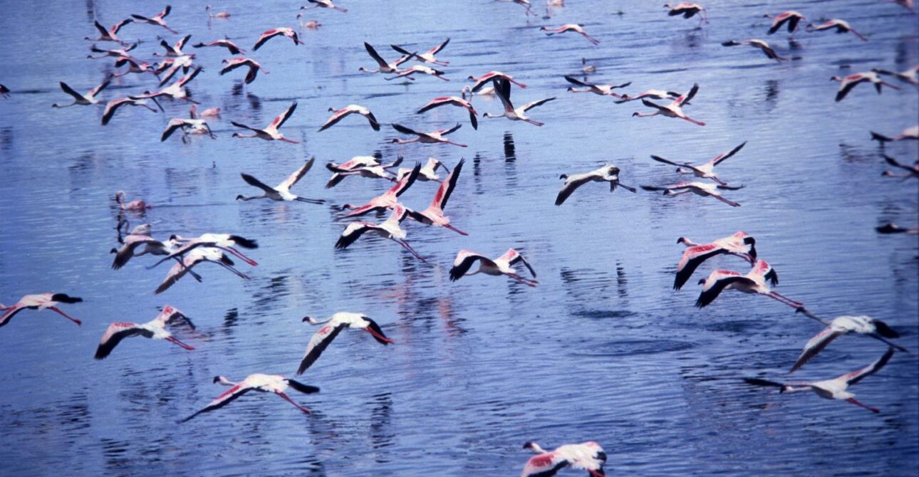 Arusha National Park Tanzania