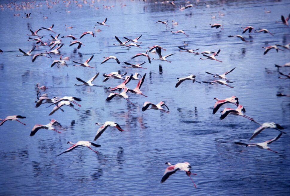 Arusha National Park Tanzania