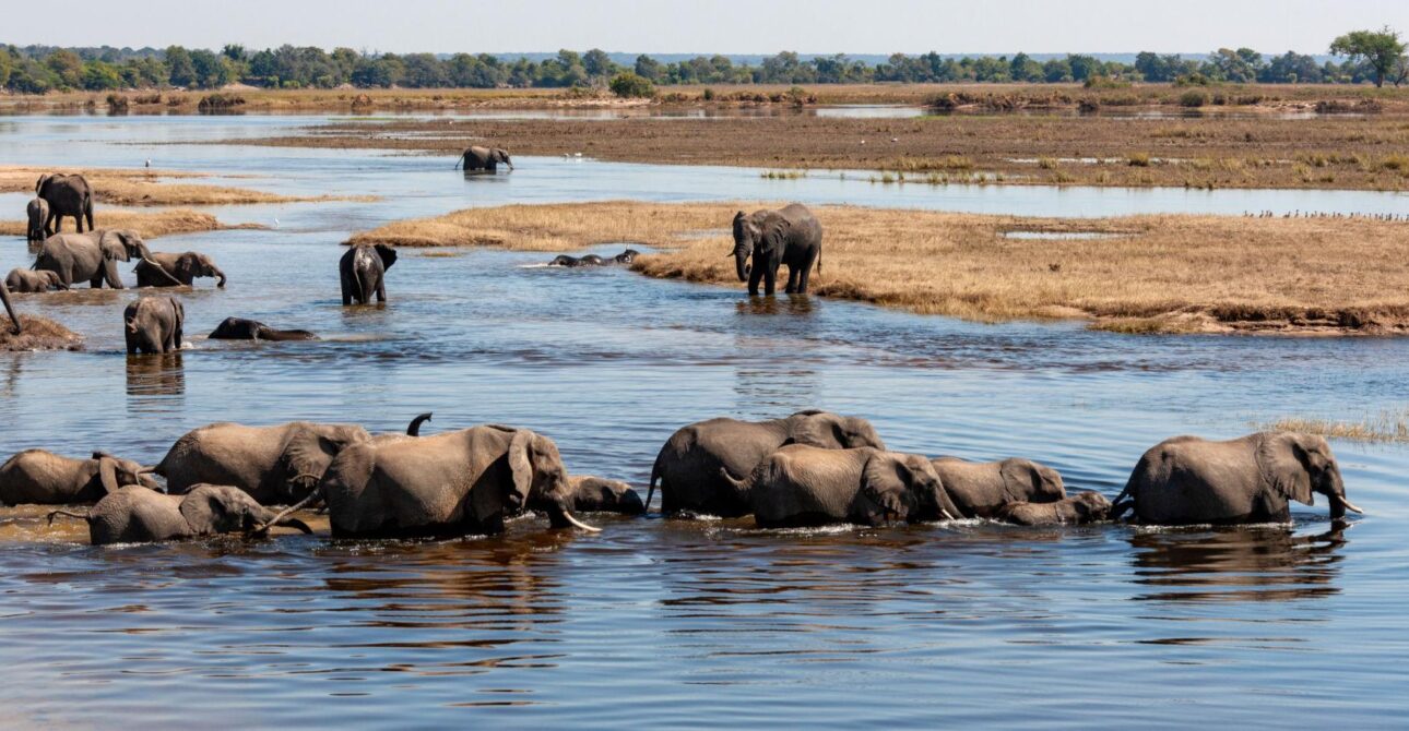 Botswana Destination Overview