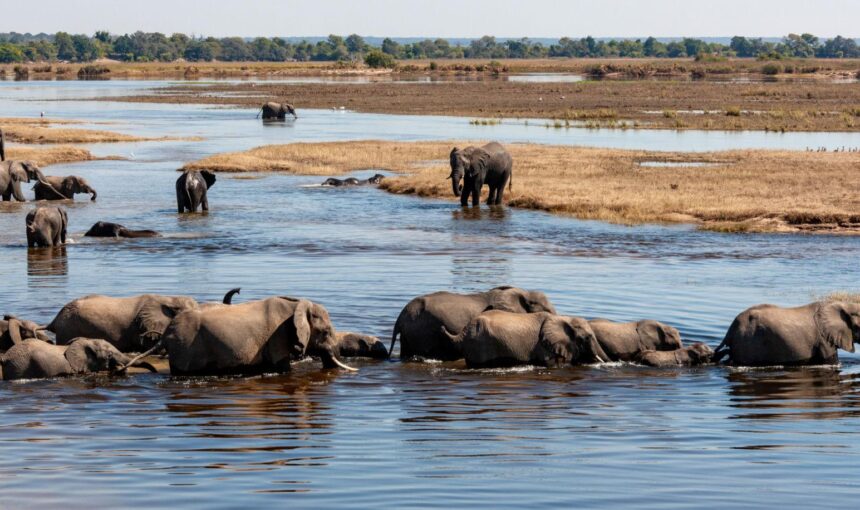 Botswana Destination Overview 1 Botswana Destination Overview
