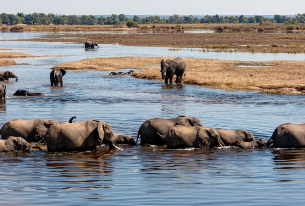 Botswana Destination Overview