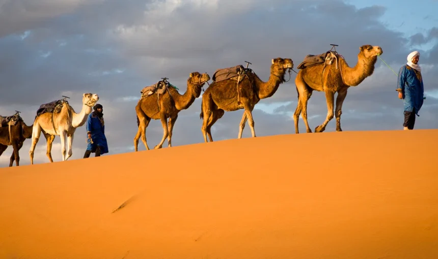 Chad Destination Overview 4 Chad Destination Overview