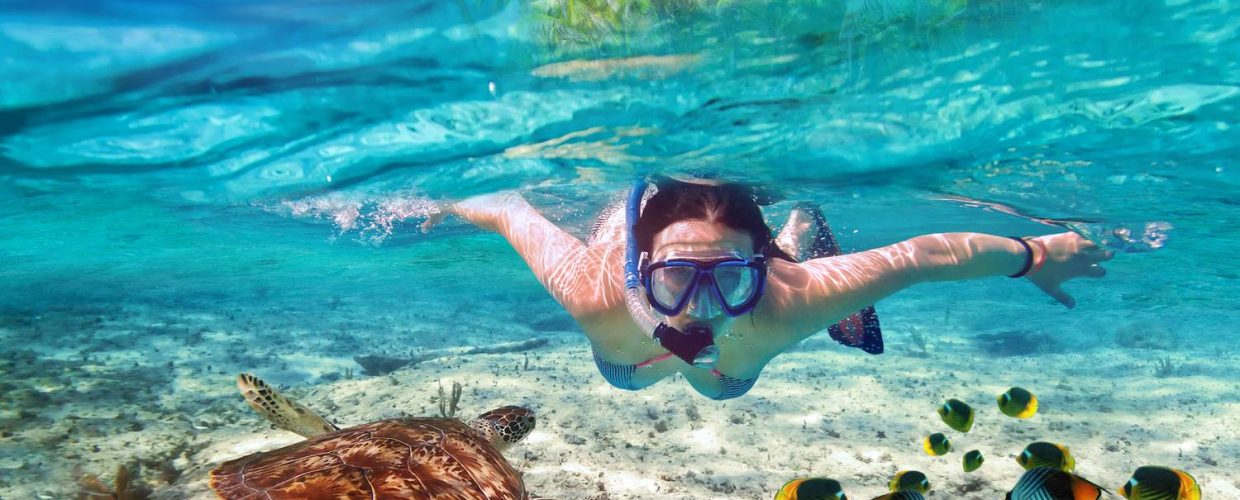 MALINDI MARINE NATIONAL PARK and RESERVE