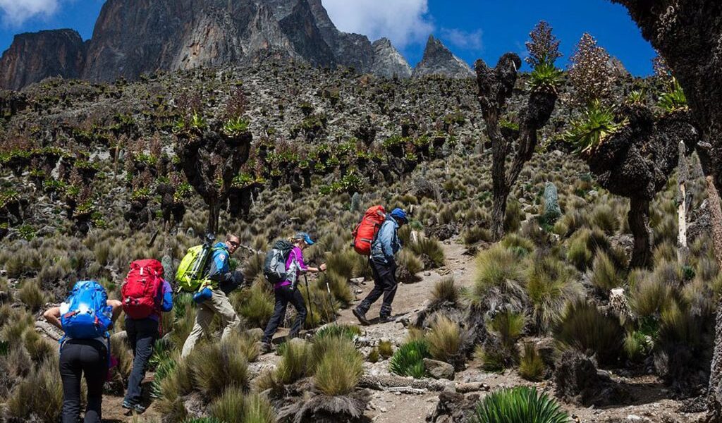 Mount Elgon National Park – Hiking, Caves & Scenic Mountain Adventure in Kenya
