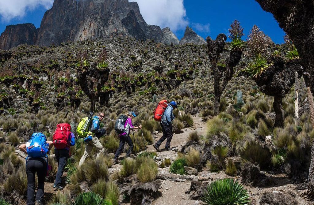 Mount Elgon National Park
